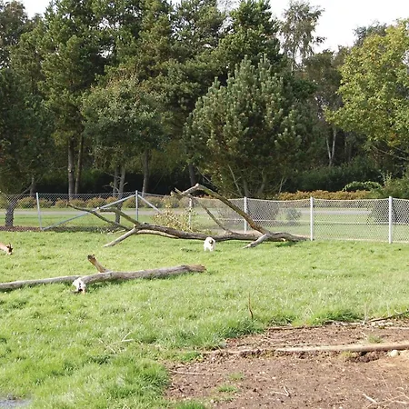 Casa de Férias Blabaervangen V Oksbøl
